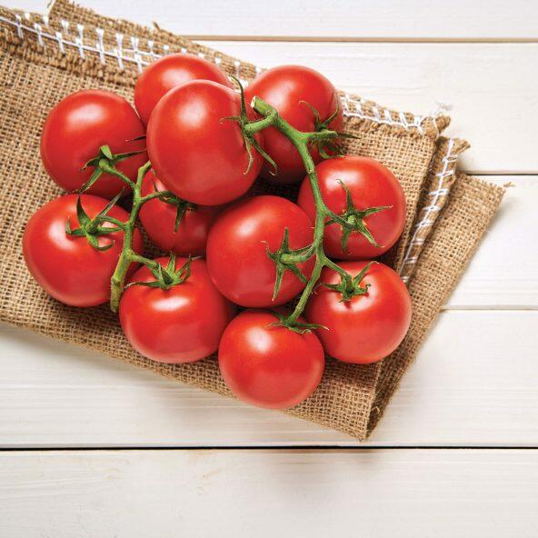 Tomates rondes grappe bio