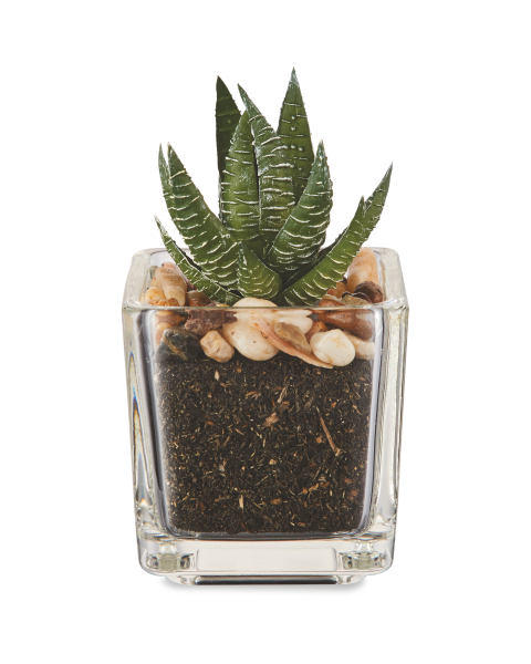 Artificial Spiked Succulent