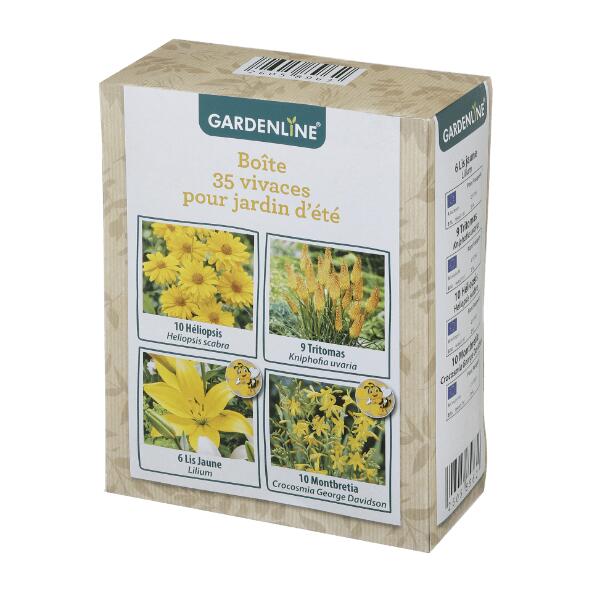 GARDENLINE(R) 				Boîte de 35 vivaces pour jardin d'été