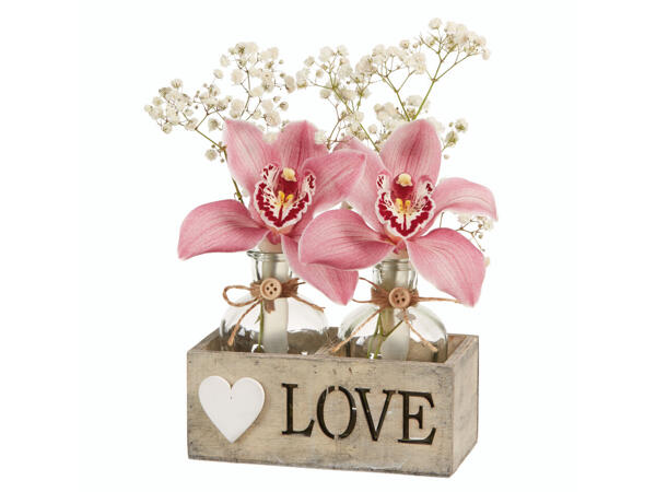 Flores de Orquidea 'Love'