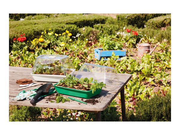 Parkside Herb or Vegetable Propagator Set