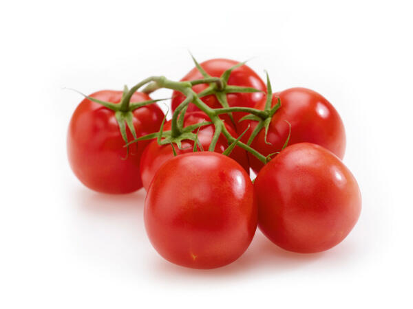 Savoureuses tomates en grappe