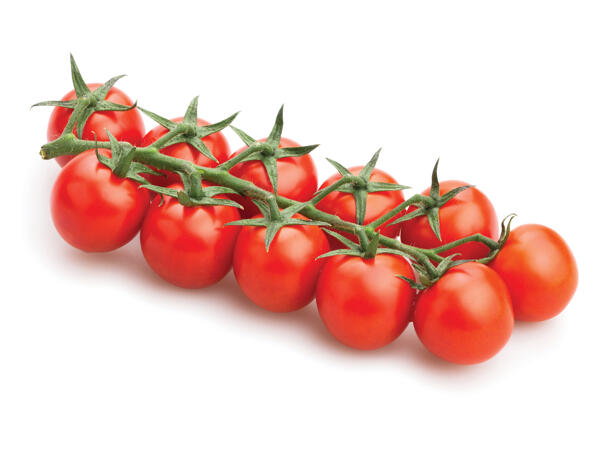 Bio Tomate Cherry Cacho Nacional