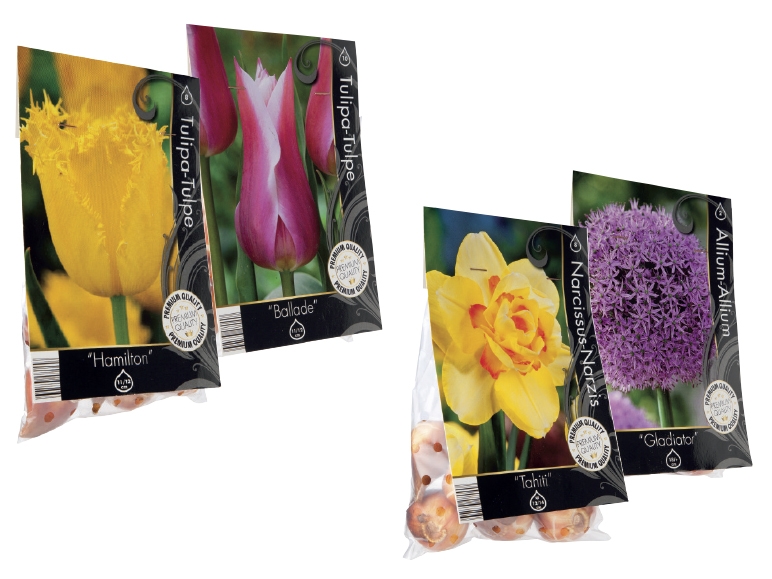 Premium Flowering Tulip and Daffodil Bulbs
