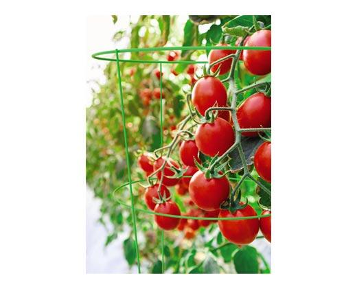 Gardenline 
 Colored Tomato Cage