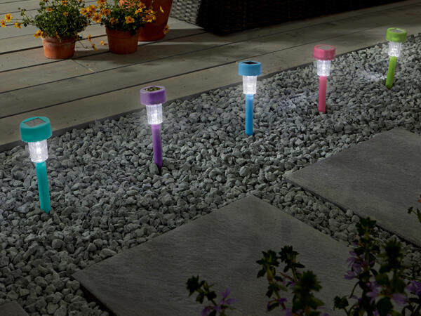 LED Solar Energy Lamp with Stake