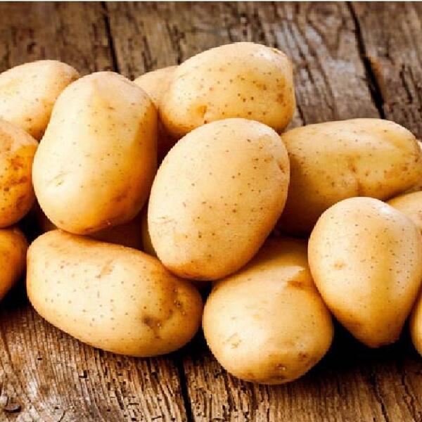 Pommes de terre Primeur