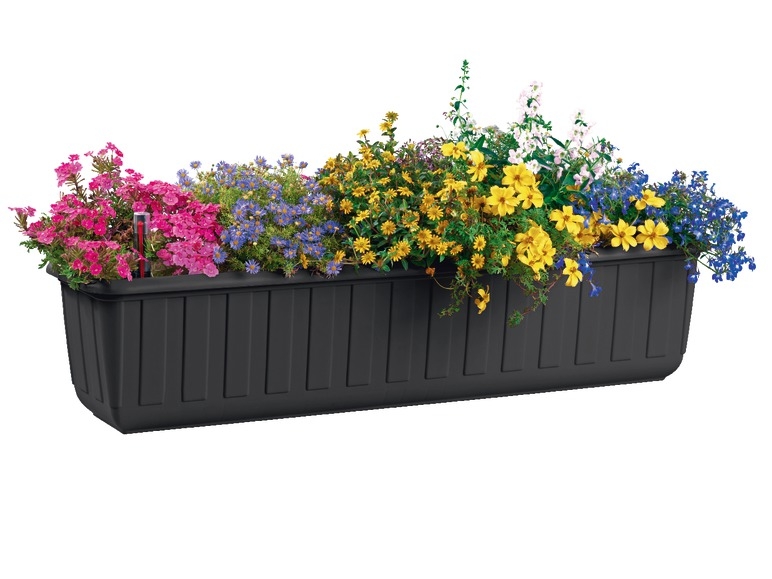 Flower Box with Regulated Water Reservoir, 80 cm
