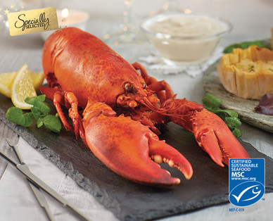 Specially Selected Cooked Canadian Lobster