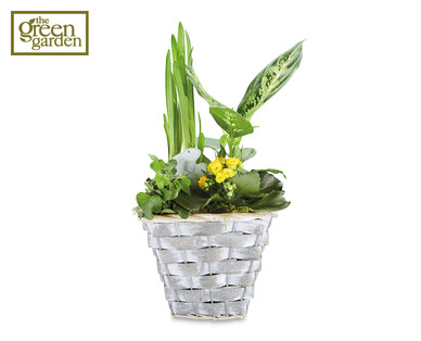 Easter Plant Basket
