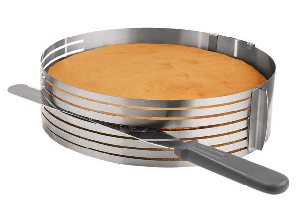 Stainless Steel Cake Slicer or Lifter