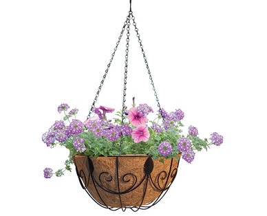 Gardenline Hanging Basket Assortment