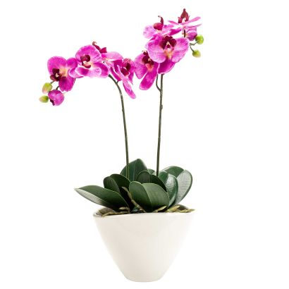 Zijden orchidee