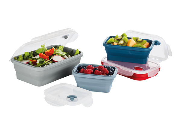 Ernesto Collapsible Storage Containers