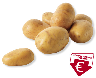 Pommes de terre bio NATURE SUISSE BIO