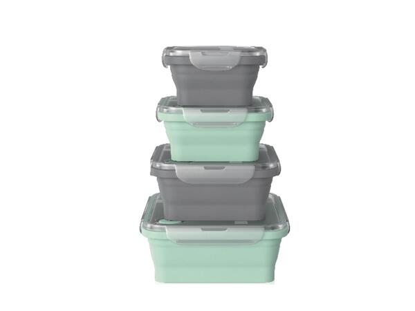 Collapsible Storage Containers