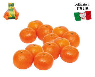 Clementine di Calabria IGP 1 kg