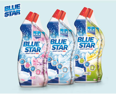 BLUE STAR Kraft Aktiv Gel, Doppelpkg.