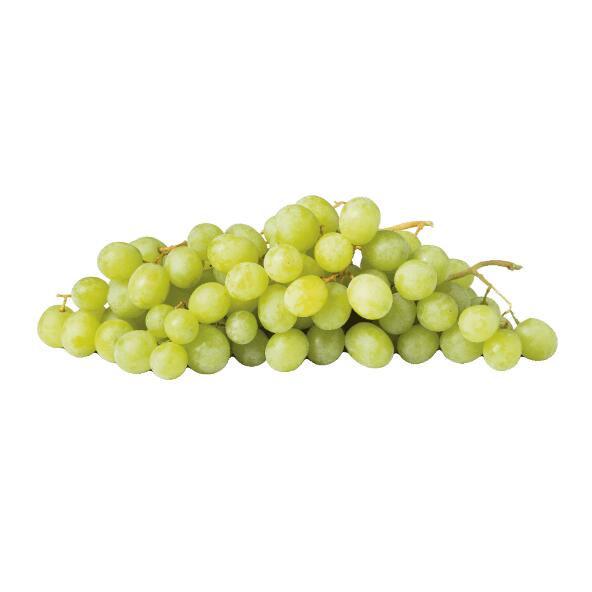 Pitloze witte druiven