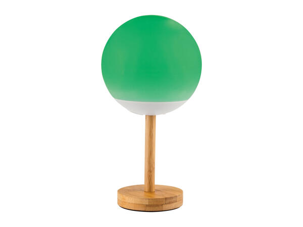 Table Lamp for Outdoor Use