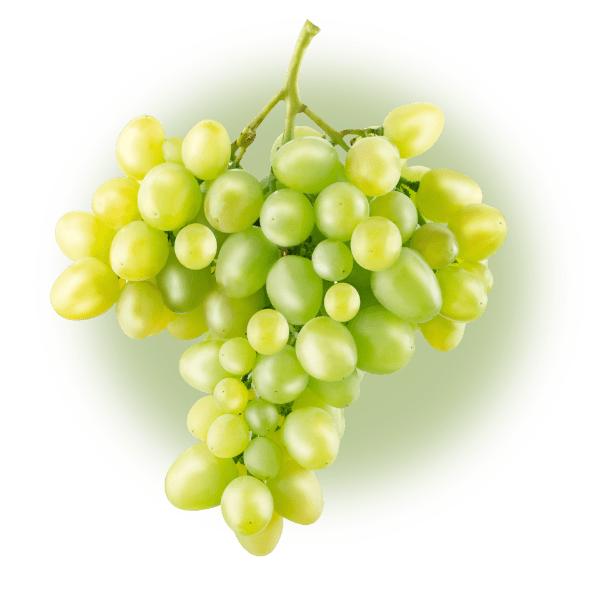 Winogrona zielone bezpestkowe