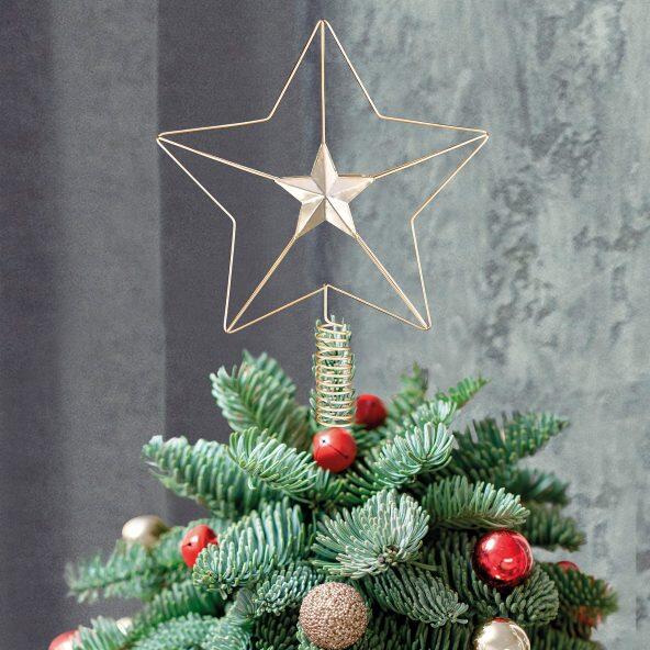 Home Creation(R) 				Estrela Árvore de Natal