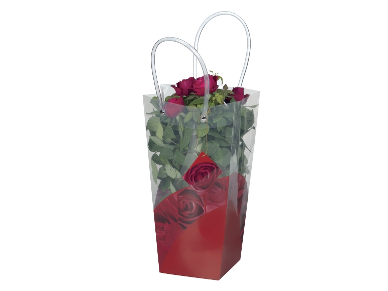 Mini Roses in Gift Bag