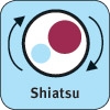 Coussin de massage Shiatsu