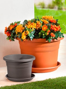 Pot de fleurs "Cilindro"