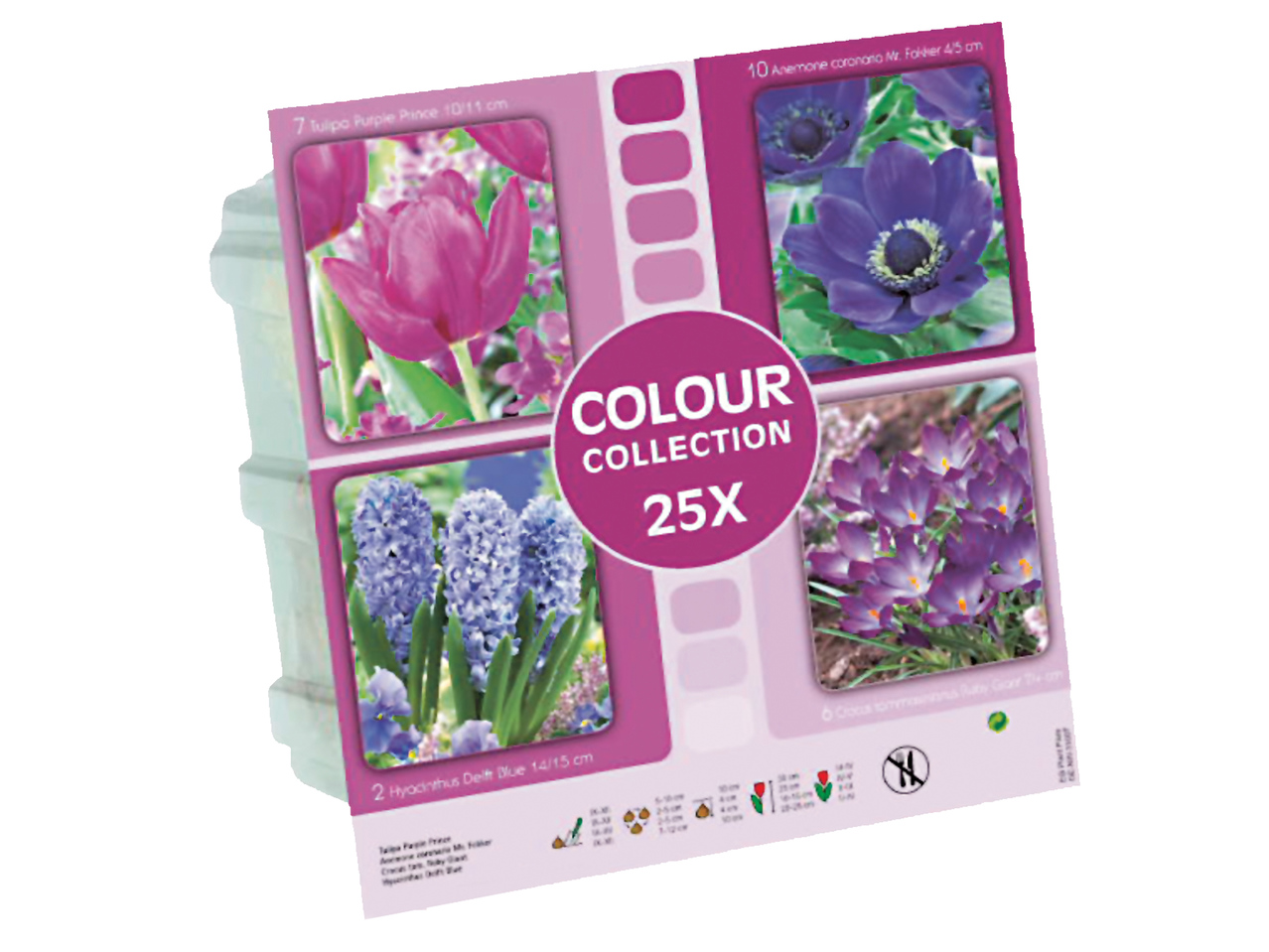Bulbi de flori - Colecții de culori