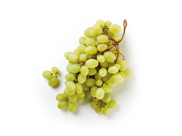 White Grapes PGI