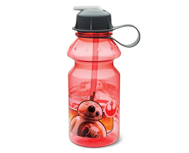Licensed 14-oz. Hydro Canteen Bottle