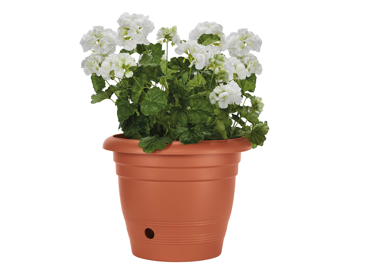 Florabest Self-Watering Plant Pot1