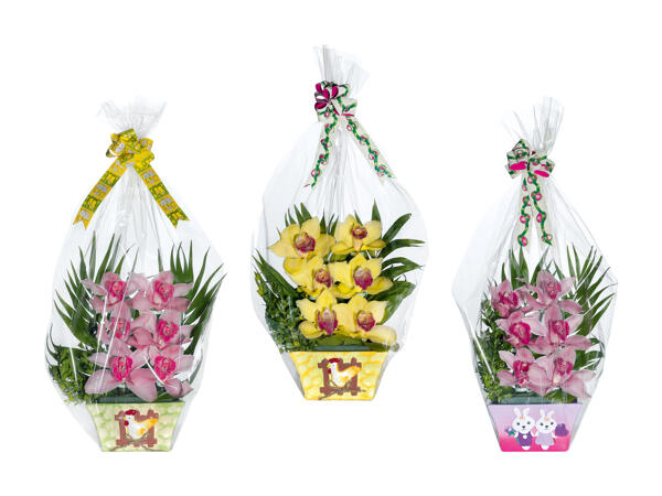 Composition florale d'orchidées de Pâques