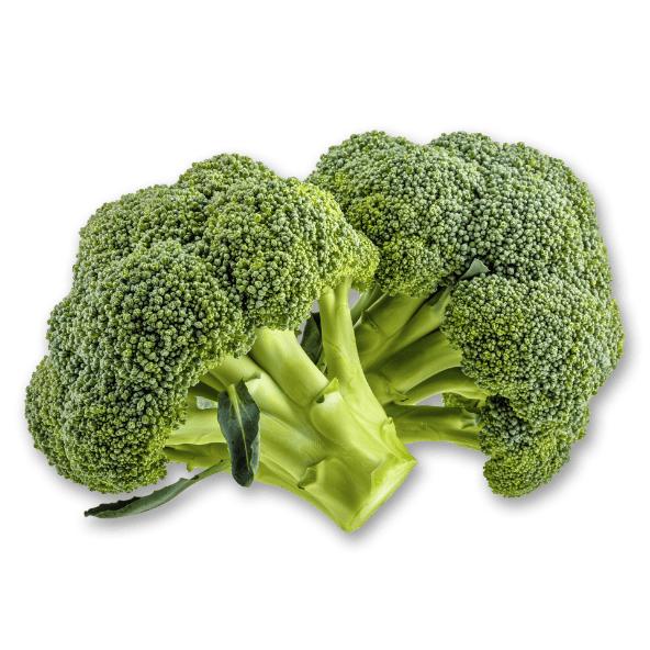 Brócolo