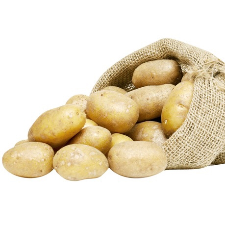 Pommes de terre de consommation "Cicero"