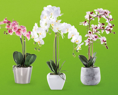 Naturgetreue Orchidee im Topf