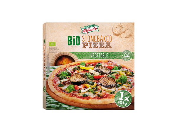Pizza aux légumes Bio1