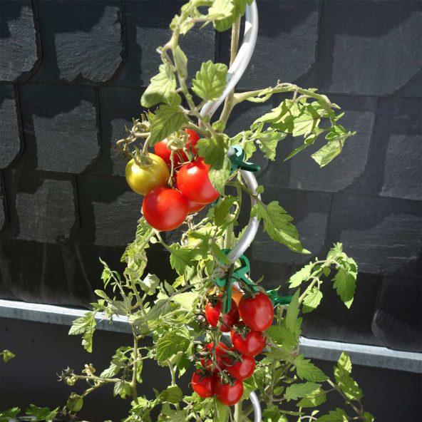 Zestaw tyczek do pomidorów/roślin