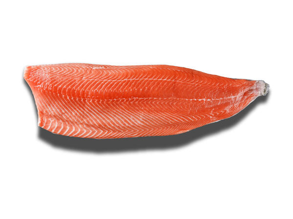 Filet entier de saumon