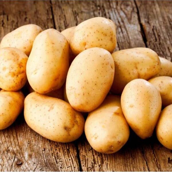 Pommes de terre Primeurs