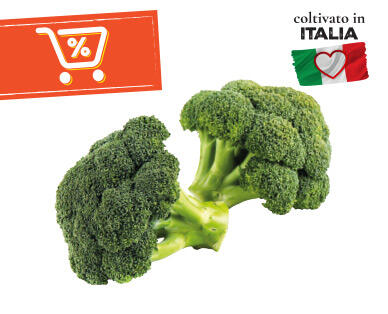 I COLORI DEL SAPORE 
 Broccoli 500 g