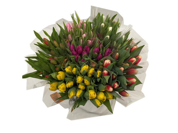 Bouquet de Tulipes