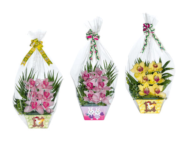 Composition florale d'orchidées de Pâques