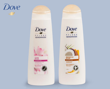 DOVE Shampoo/Spülung