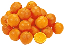 Oranges à jus "Salutianas"