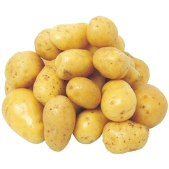 Pommes de terre de consommation "Gourmandine"