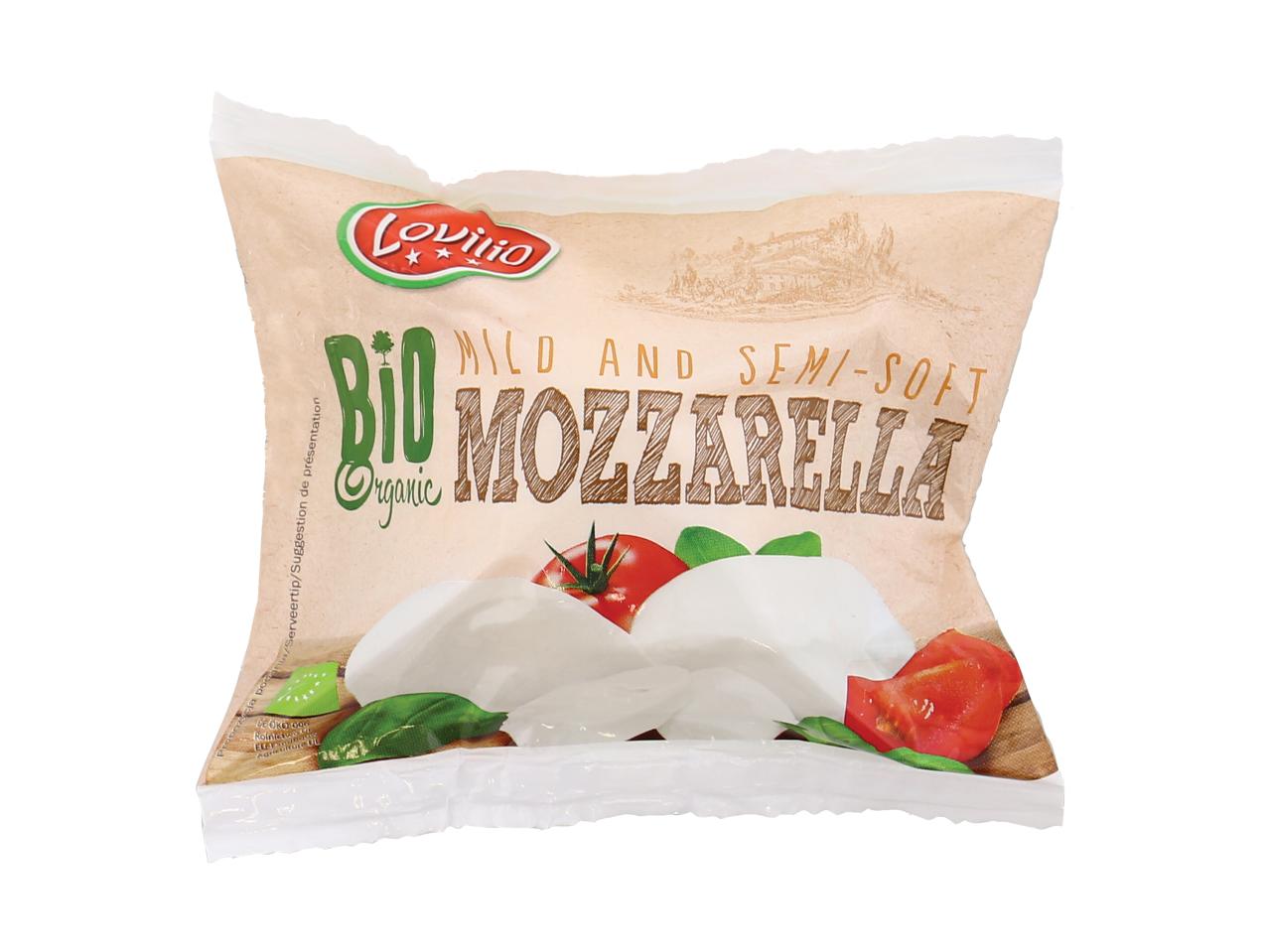 Mozzarella Bio1