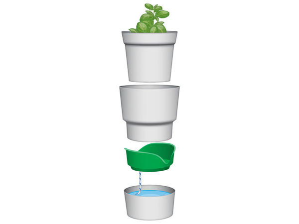 Herb and Plant Pot