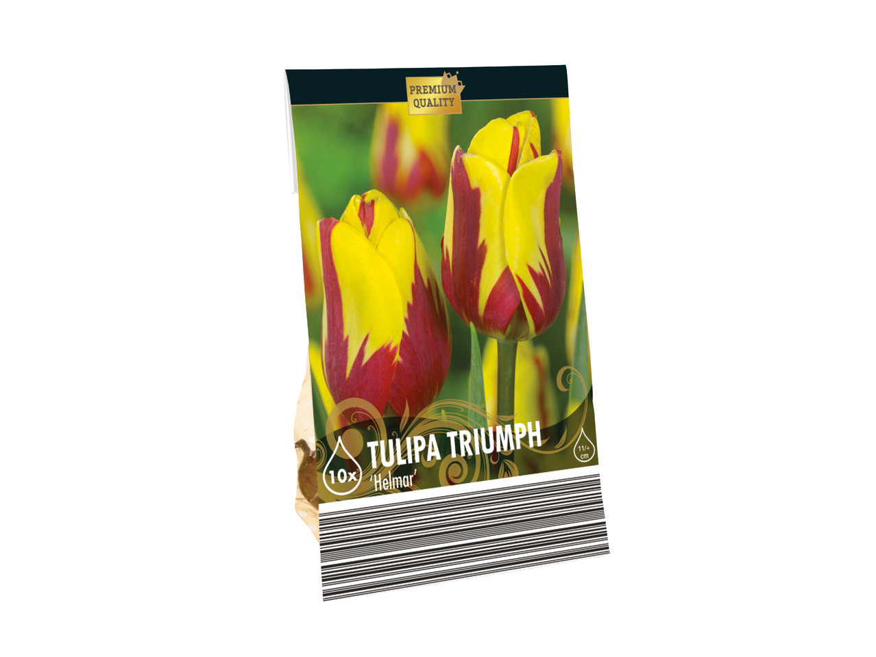 Premium Flowering Bulbs (Double Daffodils and Tulips)1